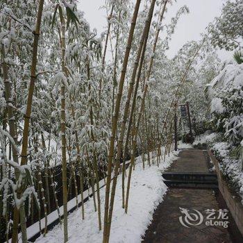 浦江欢墅温泉度假别墅酒店提供图片