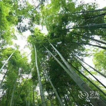 莫干桂竹山居酒店提供图片