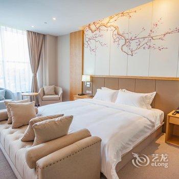 金堂朗悦酒店酒店提供图片