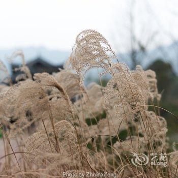 赤水凤凰花坞酒店酒店提供图片