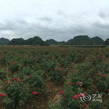 普者黑倚栏香舍客栈酒店提供图片