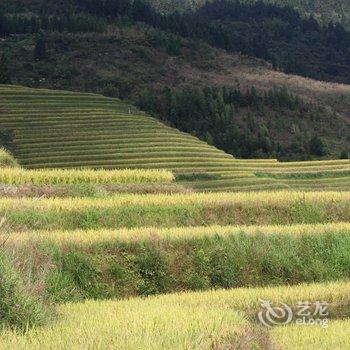 龙胜龙脊一号云端酒店酒店提供图片