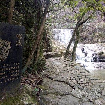 安吉春林酒店酒店提供图片