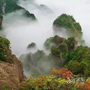 雁荡山金园小庄宾馆酒店提供图片