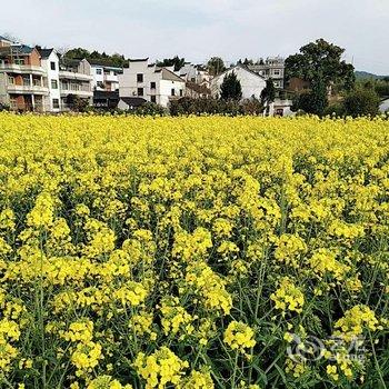 建德新叶村荷香园农家乐酒店提供图片