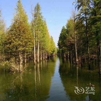 宁国市洪家小院酒店提供图片