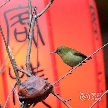 秭归百度民俗客栈酒店提供图片