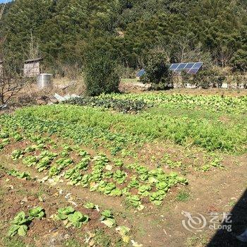 宣城大头人家土菜馆住宿酒店提供图片