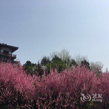 锦江都城(原宝鸡王子饭店)-宝鸡高新大道店酒店提供图片