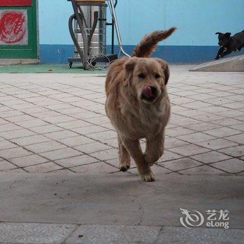 吐鲁番白驼青年旅舍(青年路店)酒店提供图片