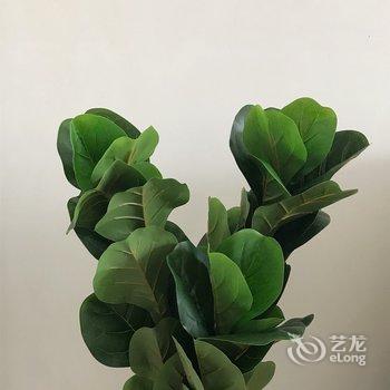 广州梧舍民宿(潭村路分店)酒店提供图片