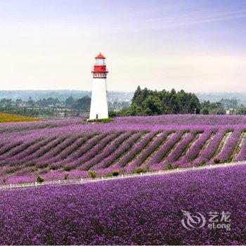 篷客露营成都紫颐香薰山谷营地酒店提供图片