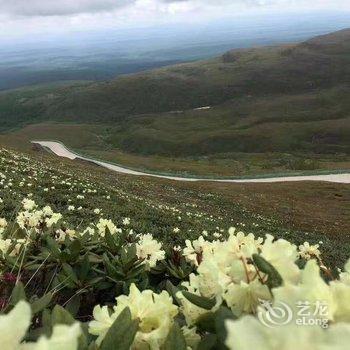 长白山高山花园家庭旅馆酒店提供图片