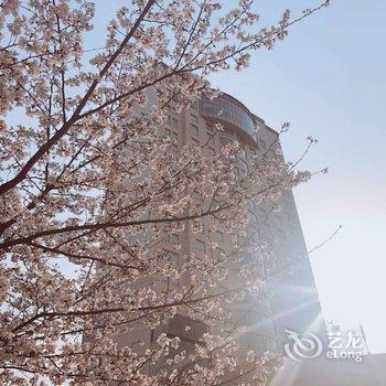 武汉雄楚国际大酒店酒店提供图片