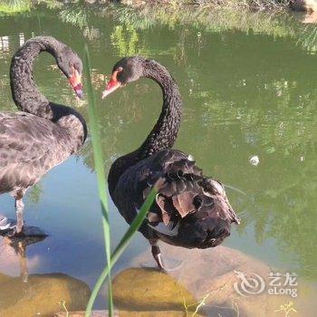 即墨温泉芭东会所酒店提供图片