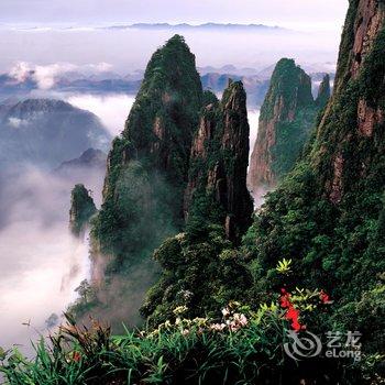 莽山森林温泉旅游度假村(郴州)酒店提供图片