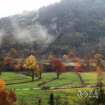 黄山塔川川缘农家乐酒店提供图片