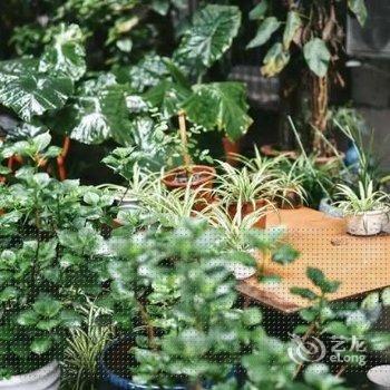 成都途掌柜·文艺普通公寓酒店提供图片