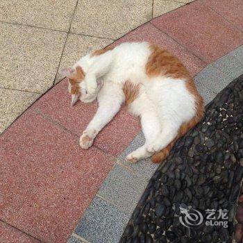 成都途掌柜·文艺普通公寓酒店提供图片