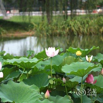 昆山田园风情民居酒店式公寓酒店提供图片