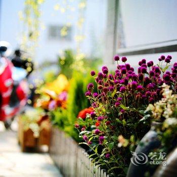 大理古城一揽芳华客栈