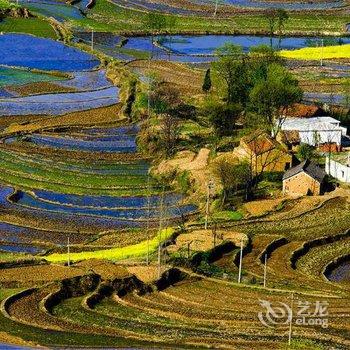 信阳南国一墅家客栈酒店提供图片