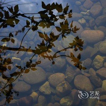 建水琴鹤堂客栈酒店提供图片