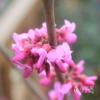 神农架宝捷家庭旅馆酒店提供图片