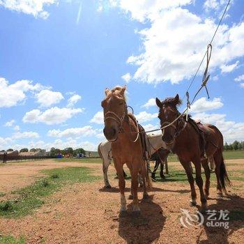 太仆寺旗蒙根杯牧人之家酒店提供图片