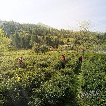 井冈山大井湾里客栈酒店提供图片