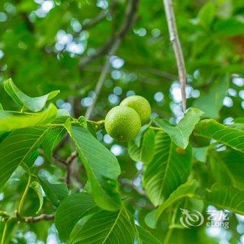 黑水维玉农家园酒店提供图片