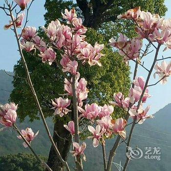 天台轩逸民宿酒店提供图片