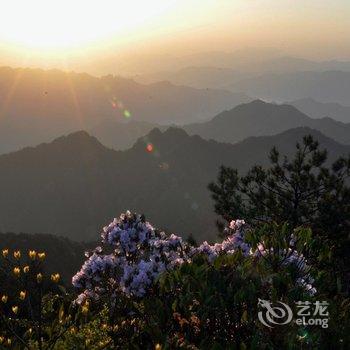 丽水松阳小茶姑娘民宿酒店提供图片