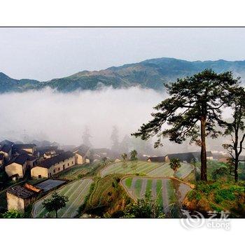 丽水松阳小茶姑娘民宿酒店提供图片