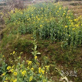 黄山翠山农家菜馆酒店提供图片