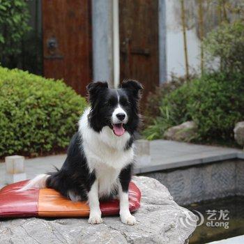 黄山雨润涵月楼酒店酒店提供图片