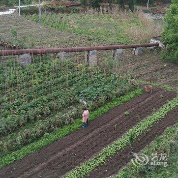 泸定君怡宾馆酒店提供图片