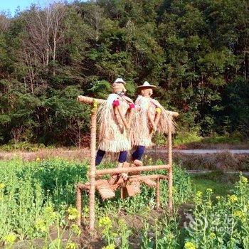 婺源江岭农情客栈酒店提供图片