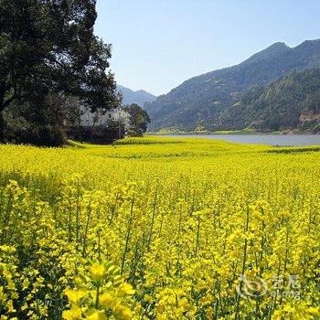 歙县农家普通住房酒店提供图片