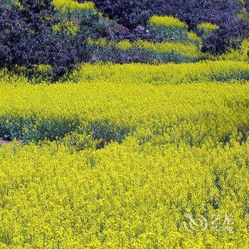 歙县农家普通住房酒店提供图片