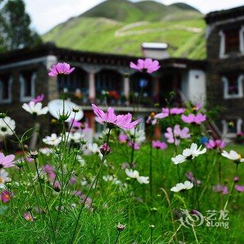 甘孜新都桥格桑花园客栈酒店提供图片