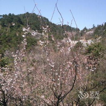 浏阳夕阳别苑农家乐酒店提供图片