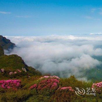 重庆金佛山泗宏山庄酒店提供图片