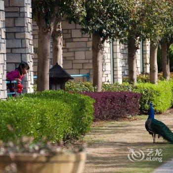 千岛湖开元度假村酒店提供图片