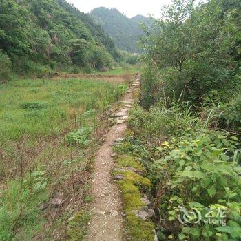 淳安县千岛湖千岛湖隐栖民宿酒店提供图片