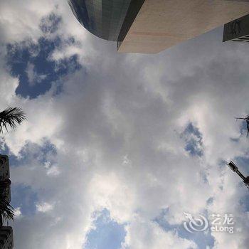 深圳雨树青年旅舍酒店提供图片