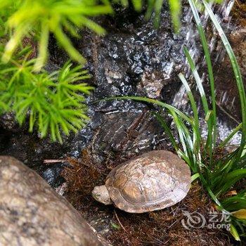 丽江依惜拉姆生活馆住宿酒店提供图片