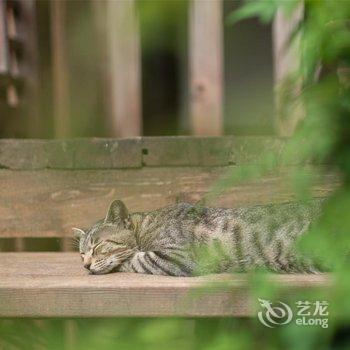 丽江花间堂·听荷院酒店提供图片