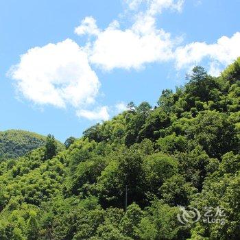 安吉望岳阁(原望月阁)酒店提供图片