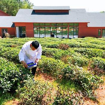 黄山素心草堂酒店提供图片